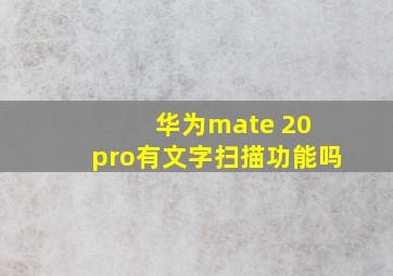 华为mate 20 pro有文字扫描功能吗